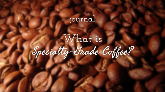 What is Specialty Grade Coffee?