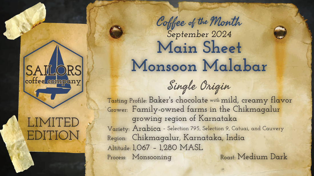 Limited-Edition, Coffee of the Month for September 2024: Main Sheet Monsoon Malabar - Indian Coffee