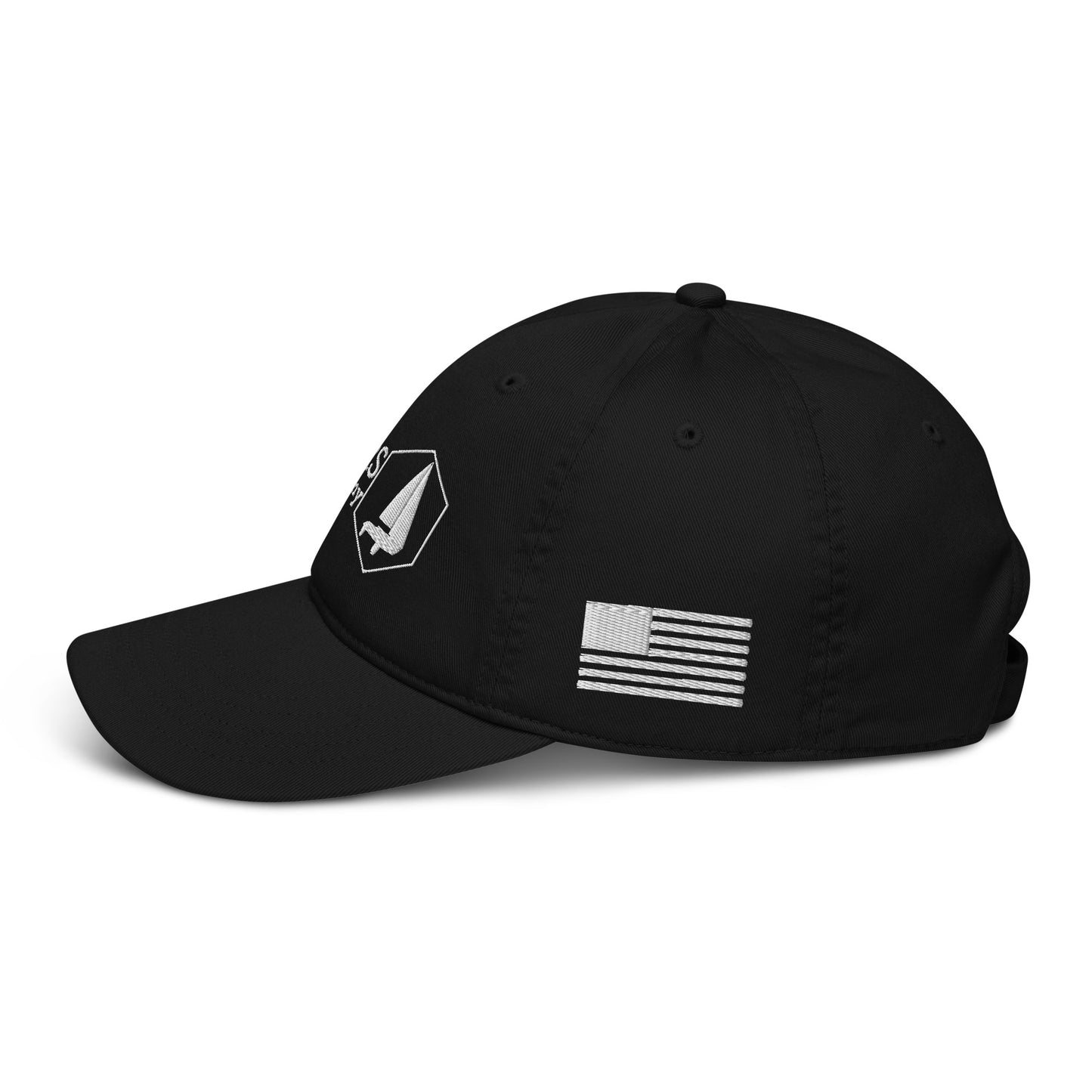 Organic dad hat (US Flag)